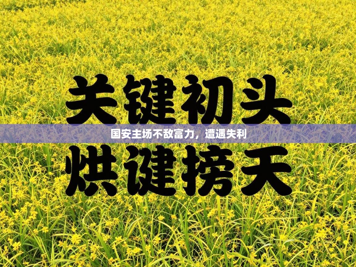 国安主场不敌富力,遭遇失利 第2张