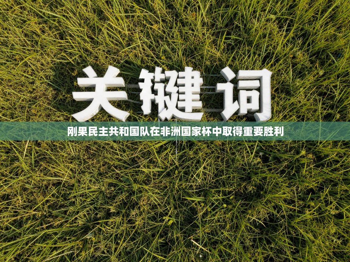 刚果民主共和国队在非洲国家杯中取得重要胜利  第2张